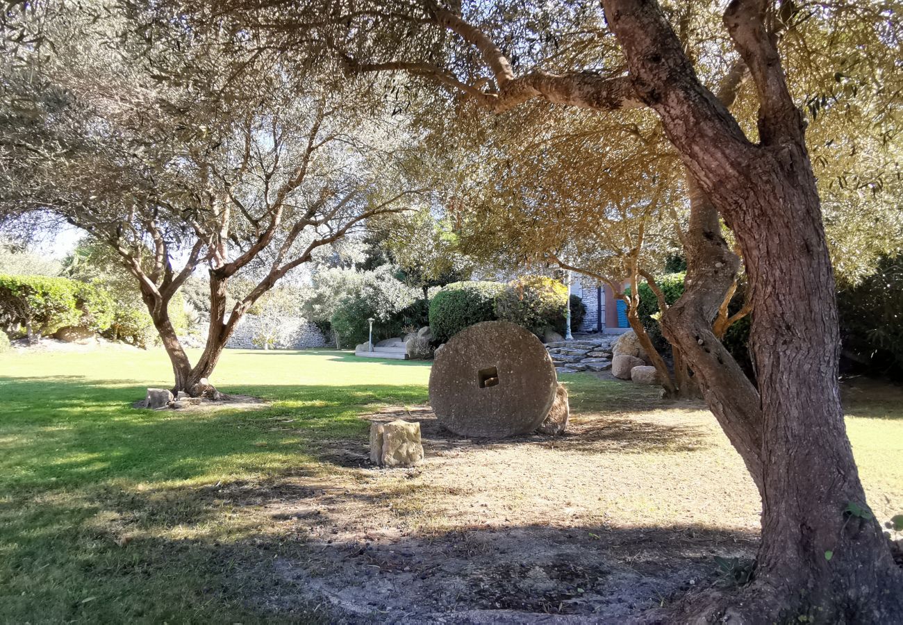 Studio in Bonifacio - Studio Kalliste pour 2 personnes