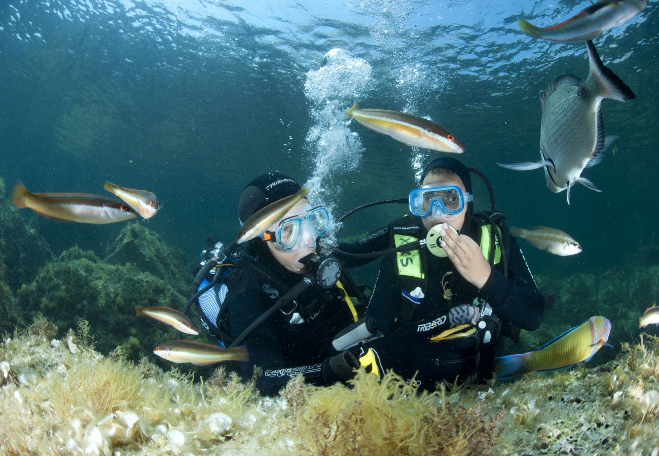 Studio in Bonifacio - Studio Kalliste pour 2 personnes