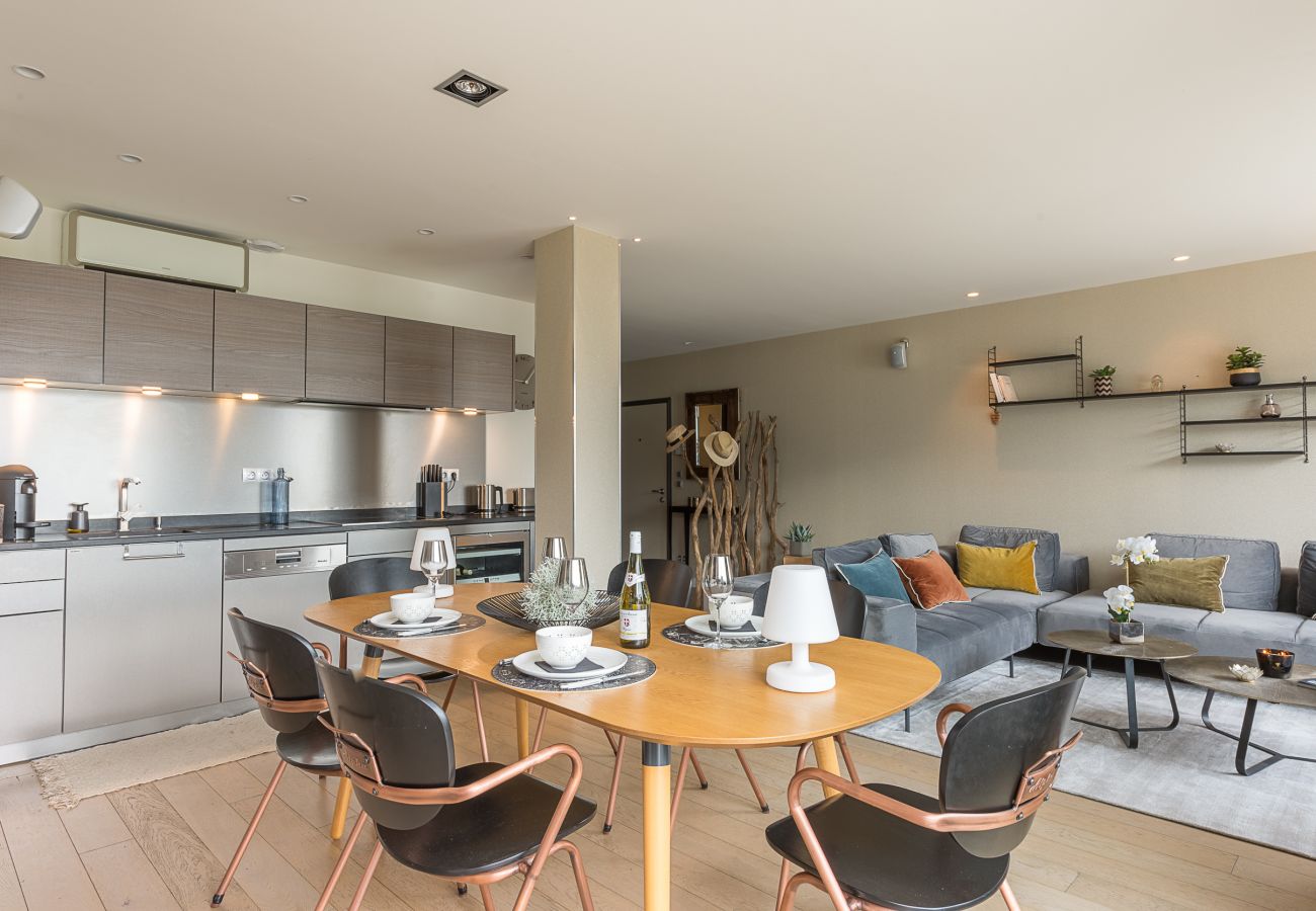 living room, holiday rental, location, annecy, lake view, mountains view, luxury, flat, villa, hotel, sun, snow, vacation