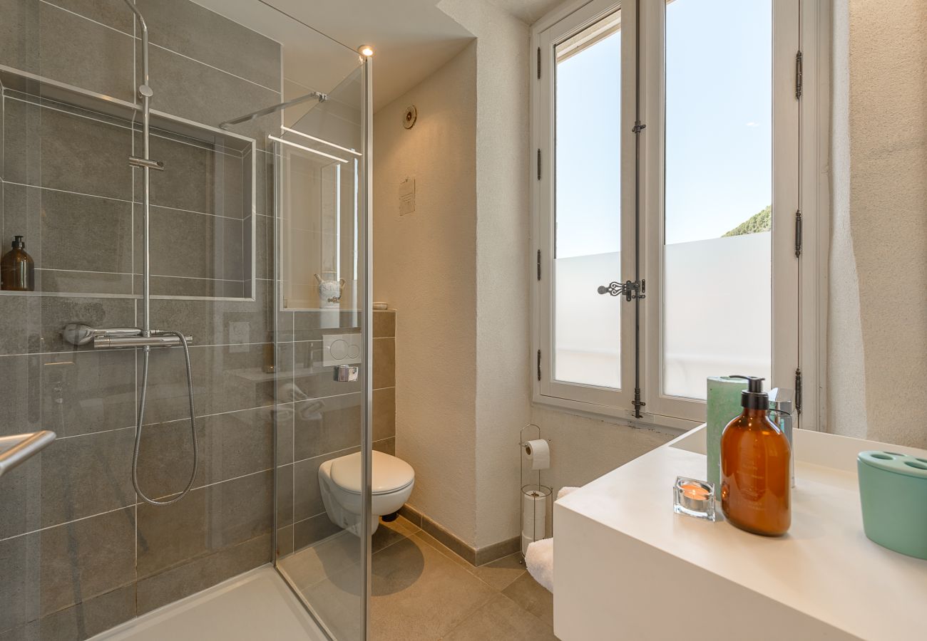 Country house in Veyrier-du-Lac - Le Vignoble du Lac, domaine de 29p avec vue