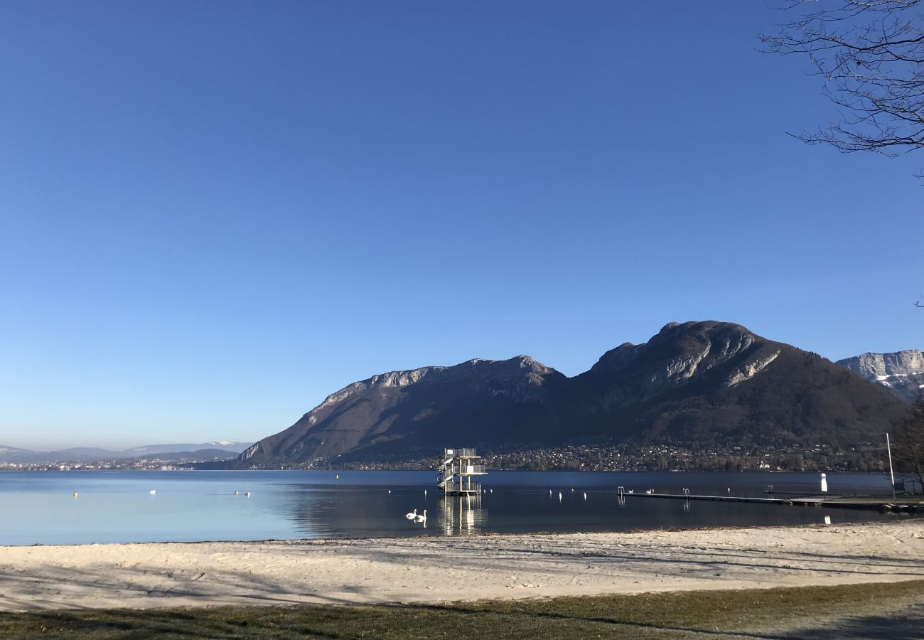 plage, cocooning, location saisonnière, vacances, saint-jorioz, lac, montagne, luxe, maison, hôtel, neige, soleil