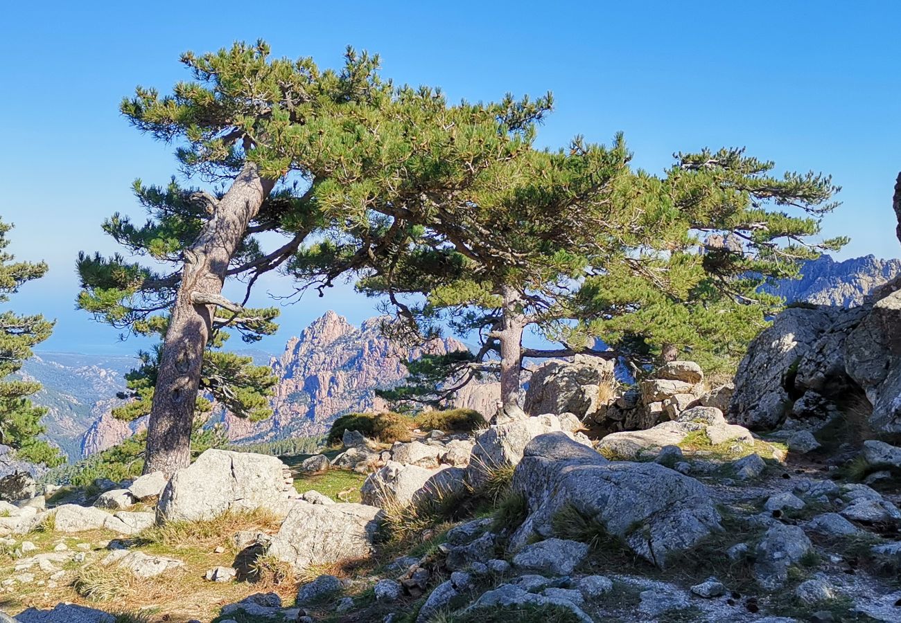 Studio à Bonifacio - Studio Kalliste pour 2 personnes