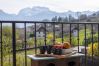 Villa, 14 persons, authentic, family house, Saint-Jorioz, lake annecy, high end, concierge, seasonal rental